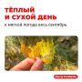 Вот и наступило 1 сентября!