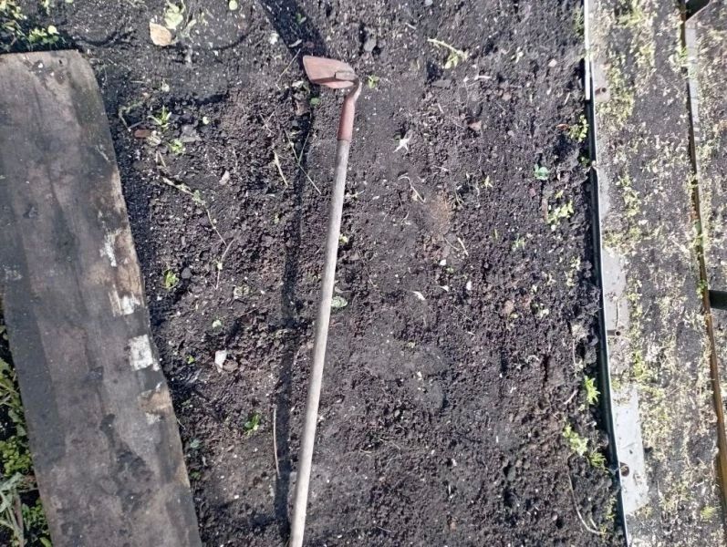 В Вагайском районе к участковому уполномоченному обратились жители села Аксурка, которые заявили, что на улице избили местного жителя