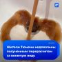 Перерасчет за «ароматную» воду возмутил тюменцев копеечными суммами