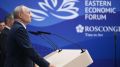 Российские власти переходят к реализации обновленной стратегии развития Дальнего Востока до 2036 года, сообщил Владимир Путин
