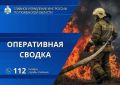 За минувшие сутки в Тюменской области: