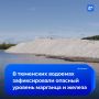 В Туре нашли опасные вещества после массовой гибели рыбы