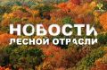 ЛесПромИнформ: Рослесхоз разъяснил, какие некапитальные строения допустимы в городских лесах