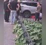 Тюменка на кроссовере переехала женщину у подъезда на Волгоградской улице накануне