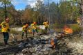 Тюменские пожарные помогли потушить 40 лесных пожаров на Ямале