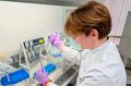 Российский студент обнаружил в цветочном горшке неизвестных науке существ - "тайных Квазимод"