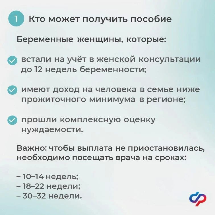 Единое пособие для беременных: отвечаем на главные вопросы Единое пособие для беременных: отвечаем на главные вопросы