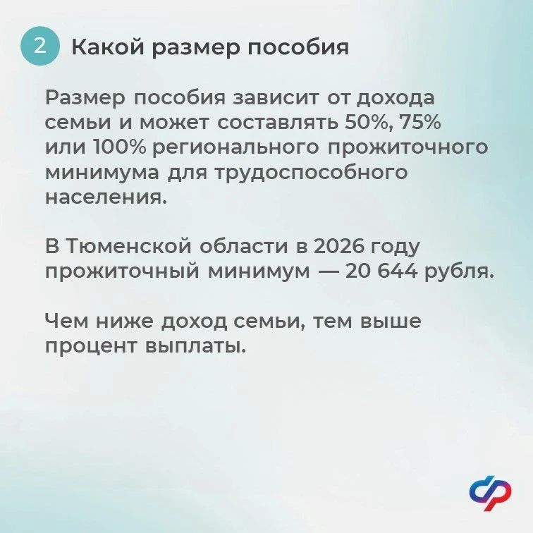 Единое пособие для беременных: отвечаем на главные вопросы Единое пособие для беременных: отвечаем на главные вопросы