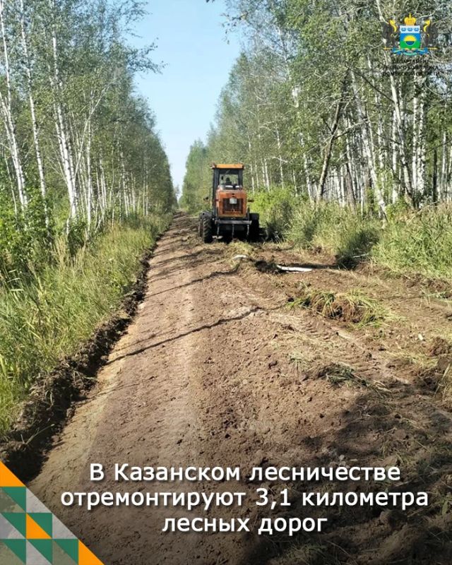 Лесные дороги — на реконструкцию