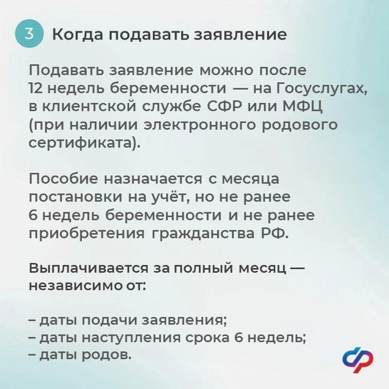 Единое пособие для беременных: отвечаем на главные вопросы Единое пособие для беременных: отвечаем на главные вопросы