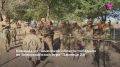 Команда из Тюменской области победила во Всероссийской военно-патриотической игре "Зарница 2.0"