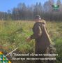 Пока лесоводы заняты осенними посадками, идёт и другая важная работа — инвентаризация уже созданных лесных культур