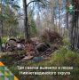 Во время патрулирования сотрудники Тюменского управления лесами выявили три несанкционированные свалки в Карагандинском участковом лесничестве