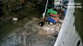 В Уренгое в частный сектор забрёл медвежонок