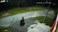 � ���� ������� ��������� ������� � ���� ������� ������