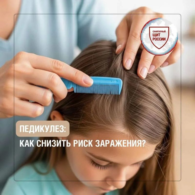 Педикулез может появиться у любого человека, независимо от возраста и соблюдения гигиены