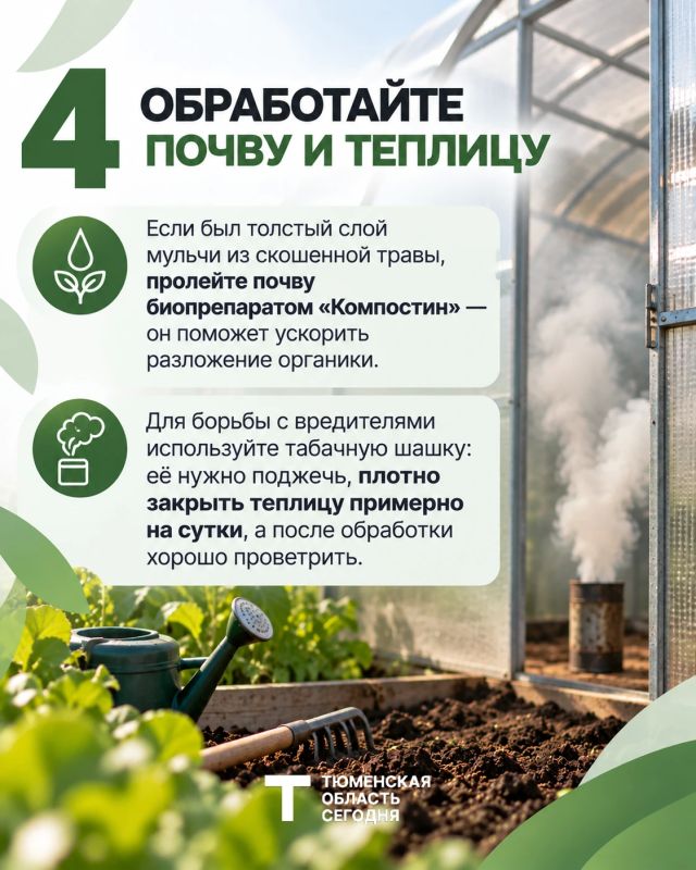 4 шага, чтобы подготовить теплицу к новому сезону 4 шага, чтобы подготовить теплицу к новому сезону