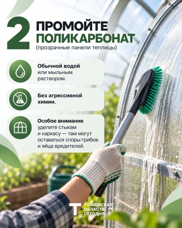 4 шага, чтобы подготовить теплицу к новому сезону 4 шага, чтобы подготовить теплицу к новому сезону