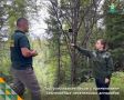 БПЛА помогают контролировать лес с воздуха