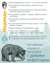 Уважаемые тоболяки! Мы видим ваши сообщения в социальных сетях о том, что жители СНТ замечают следы медведей