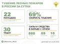 За прошедшие сутки в 11 регионах России потушили 22 лесных пожара