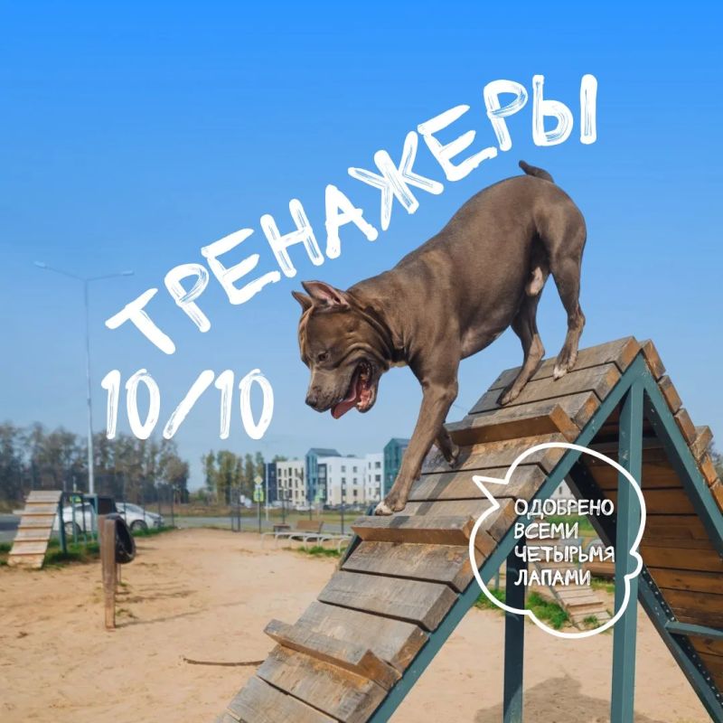 ОТЧЕТ ЭКСПЕРТА ПО ПРОГУЛКАМ ОТЧЕТ ЭКСПЕРТА ПО ПРОГУЛКАМ