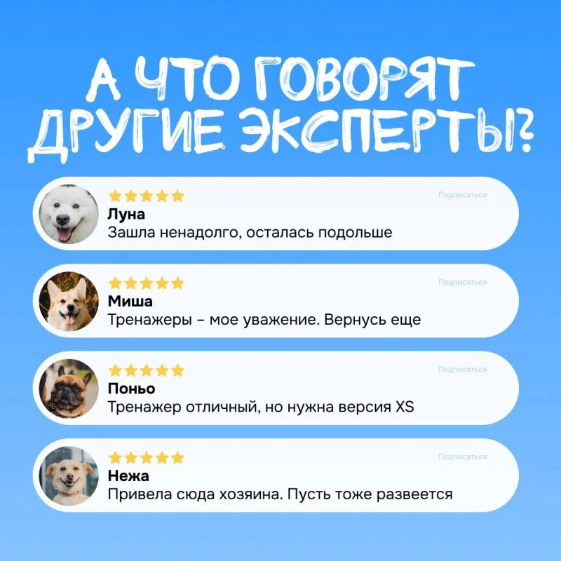 ОТЧЕТ ЭКСПЕРТА ПО ПРОГУЛКАМ ОТЧЕТ ЭКСПЕРТА ПО ПРОГУЛКАМ