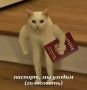 Цвет сентября — бордовый! Почему?
