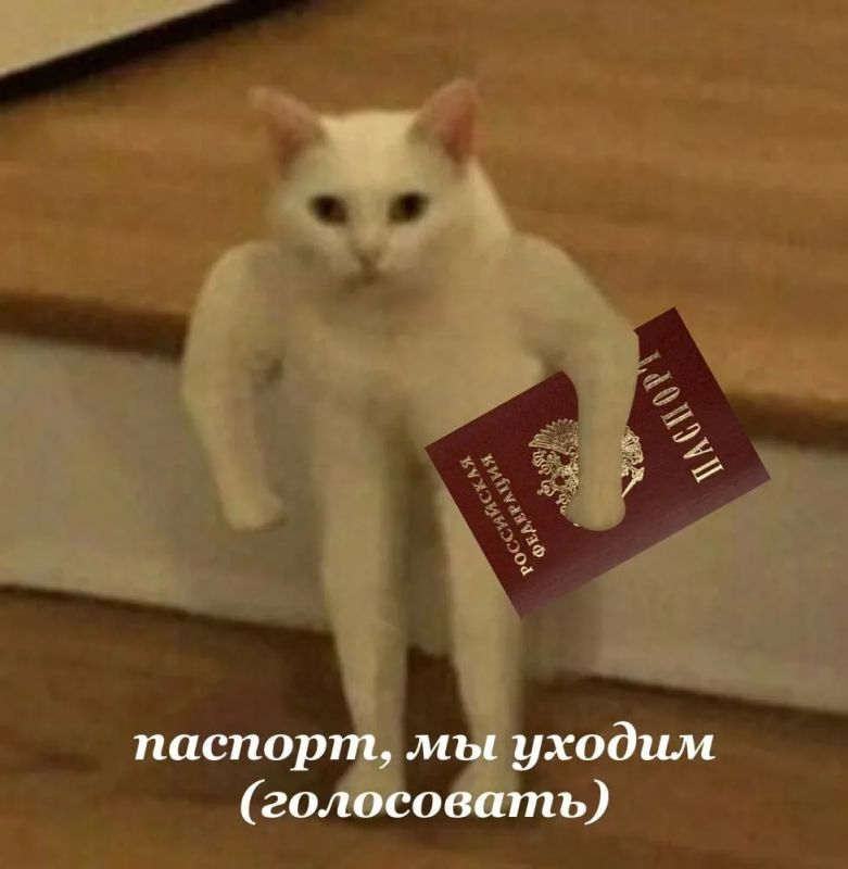 Цвет сентября — бордовый! Почему?