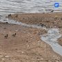 Обмелеть до критического уровня может судоходная река в ЯНАО