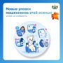 5 новых уловок мошенников этой осенью и как их избежать