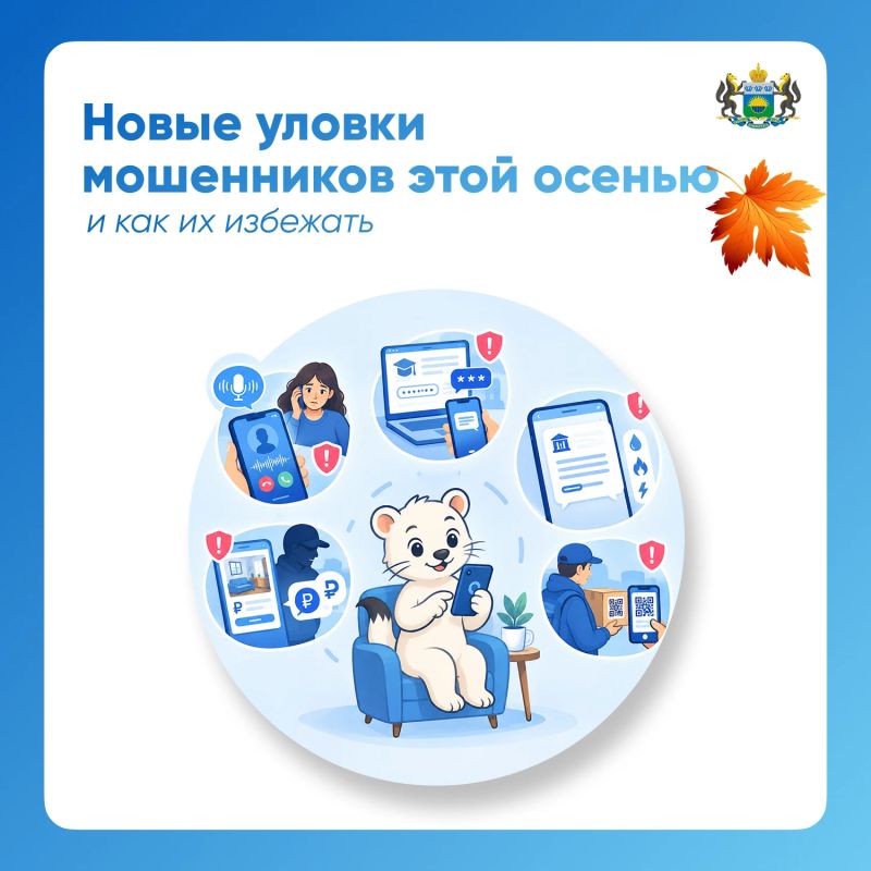5 новых уловок мошенников этой осенью и как их избежать