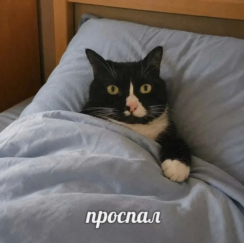 Доброе утро! Опять поставил миллион будильников, но каждый отложил во сне на потом и решил, что в выходной важные дела подождут?