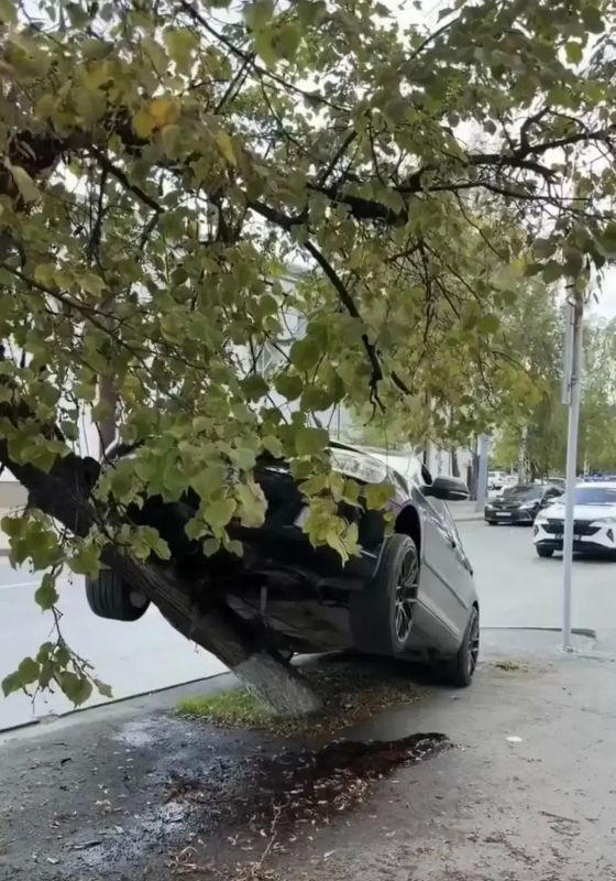 ДТП в центре Тюмени: автомобиль врезался в дерево у СК «Центральный» ДТП в центре Тюмени: автомобиль врезался в дерево у СК «Центральный»