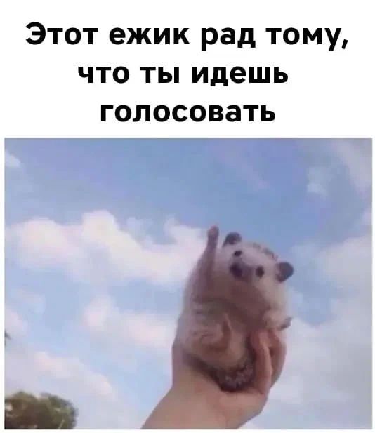 Этот ежик очень доволен вашими планами на выходные