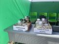 Сладкие подарки ждут прямо на площадках «Тюменской осени» рядом с домом, но можно выиграть и что-то ещё! Испытайте удачу! Приходите!