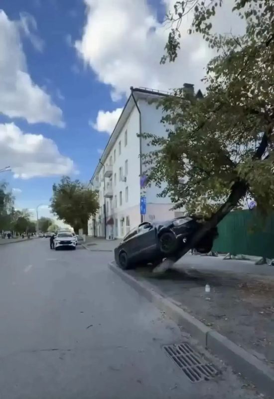 ДТП в центре Тюмени: автомобиль врезался в дерево у СК «Центральный» ДТП в центре Тюмени: автомобиль врезался в дерево у СК «Центральный»