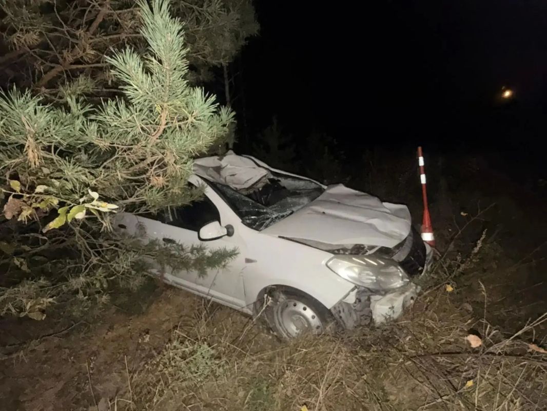 Автомобиль «Рено» вчера вечером наехал на лошадь