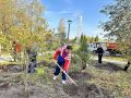 В Тобольске стартовал новый сезон экологического проекта «1000 деревьев»