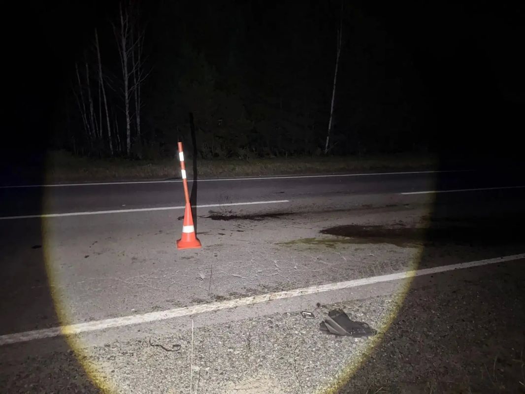 Автомобиль «Рено» вчера вечером наехал на лошадь Автомобиль «Рено» вчера вечером наехал на лошадь