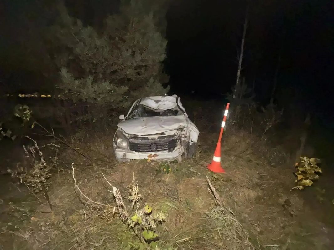 Автомобиль наехал на лошадь: в ДТП пострадала 4-летняя девочка Автомобиль наехал на лошадь: в ДТП пострадала 4-летняя девочка