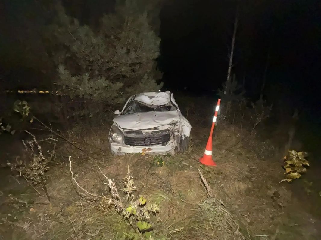Автомобиль «Рено» вчера вечером наехал на лошадь Автомобиль «Рено» вчера вечером наехал на лошадь