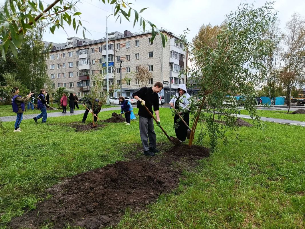 В Тобольске стартовал новый сезон экологического проекта «1000 деревьев» В Тобольске стартовал новый сезон экологического проекта «1000 деревьев»