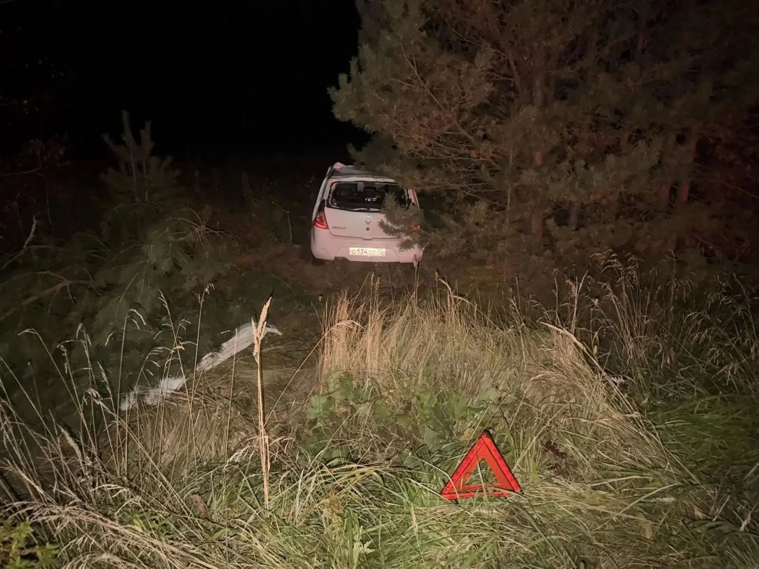 Автомобиль «Рено» вчера вечером наехал на лошадь Автомобиль «Рено» вчера вечером наехал на лошадь