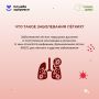 Лёгкие работают круглосуточно, обеспечивая организм кислородом