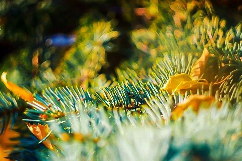 Вот и осень…. 23 сентября – день осеннего равноденствия Вот и осень…. 23 сентября – день осеннего равноденствия
