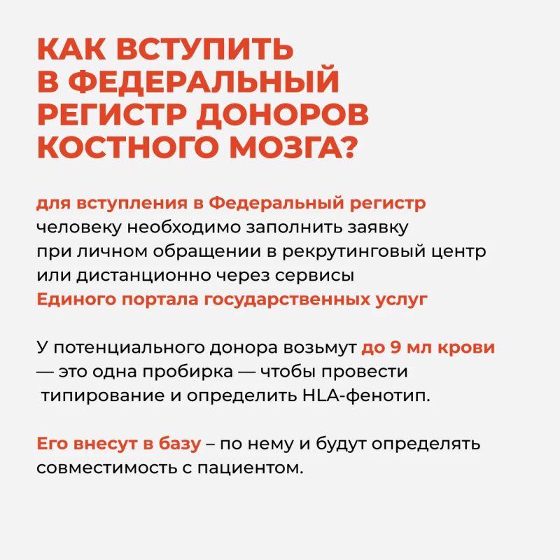 Что такое костный мозг и как происходит донорство костного мозга и стволовых кроветворных клеток — всё карточках Что такое костный мозг и как происходит донорство костного мозга и стволовых кроветворных клеток — всё карточках