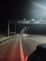 Осторожно: лоси выходят на дороги!