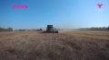 В Тюменской области продолжается уборочная кампания