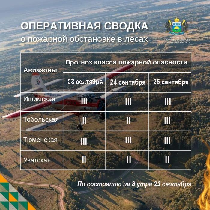 По данным региональной диспетчерской службы, на утро 23 сентября в Тюменской области нет действующих лесных пожаров